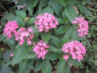 IMG_0739.jpg