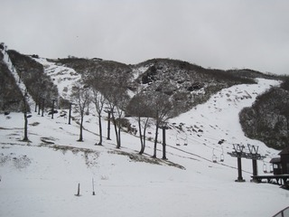 IMG_1054.jpg