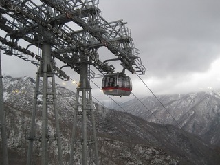 IMG_1061.jpg